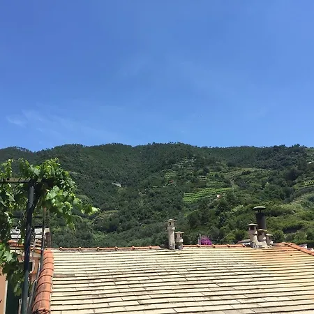 Monterosso Family Homes * モンテロッソ・アル・マーレ